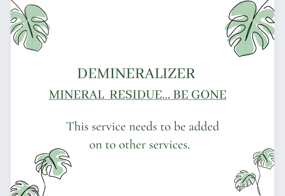 Demineralizer