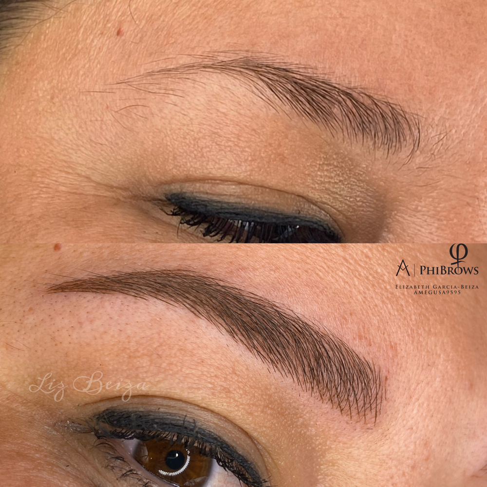 Annual Eyebrows Touch Up