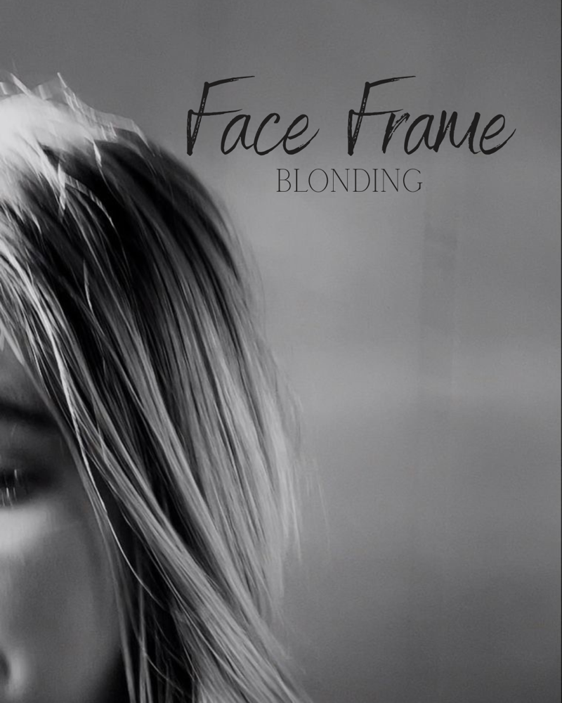 Face Frame Blonding at Landin Smith in Asheville, NC