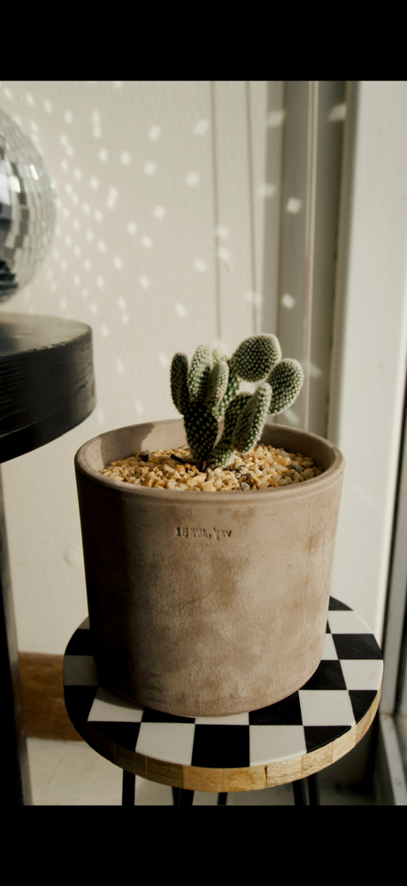 EXTENDED BIKINI 7+WK RETURN CLIENT at WAX BAR SKIN STUDIO in Richland, WA