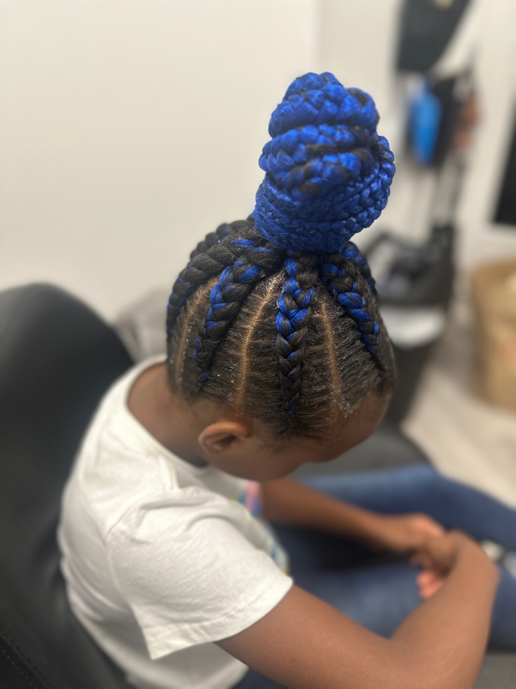 Braided Ponytail