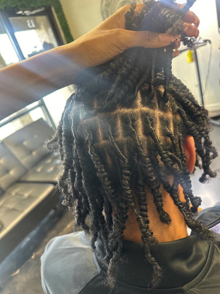 Starter Locs