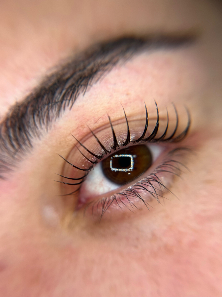 Korean lash lift + Botanical Tint at Brows by vic in Miami, FL