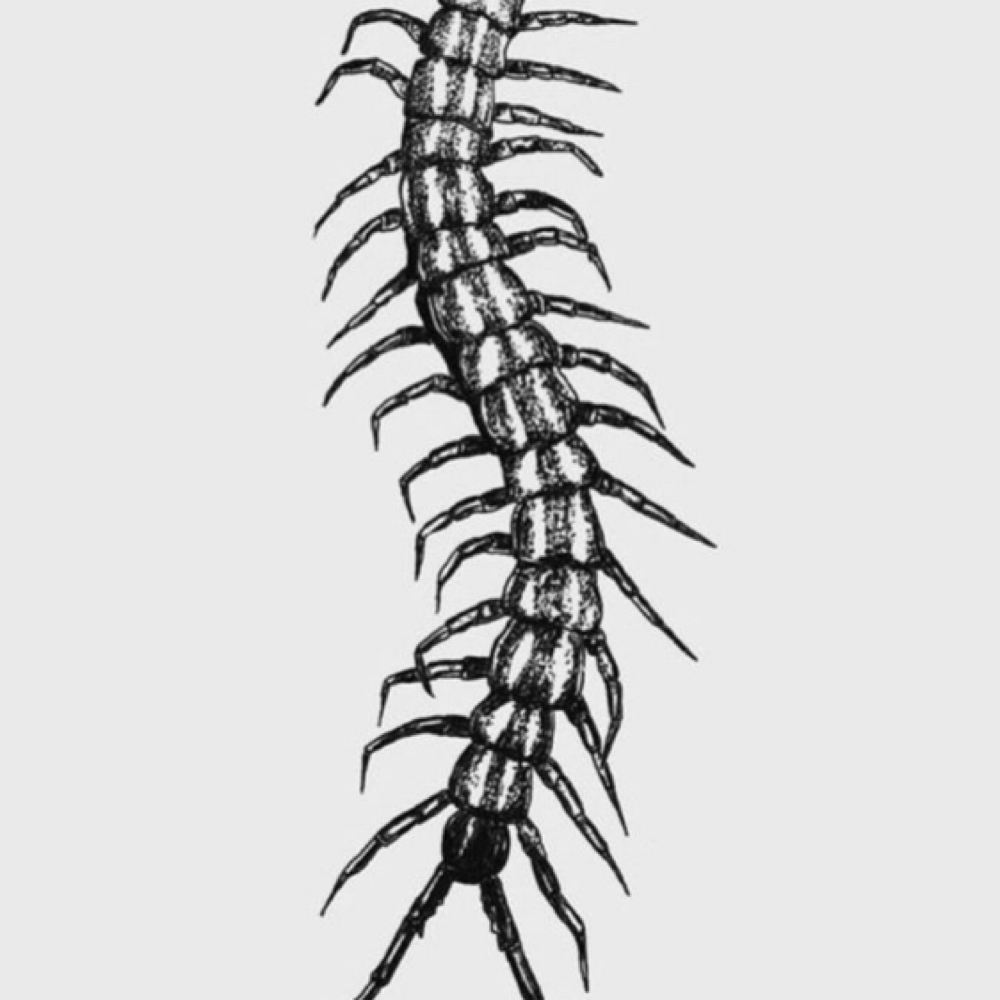 $100 Custom at Pretty Gritt Collective in Racine, WI