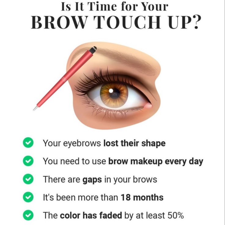 1-3 YEAR TOUCH UP at Ms. Brows in Westminster, MD