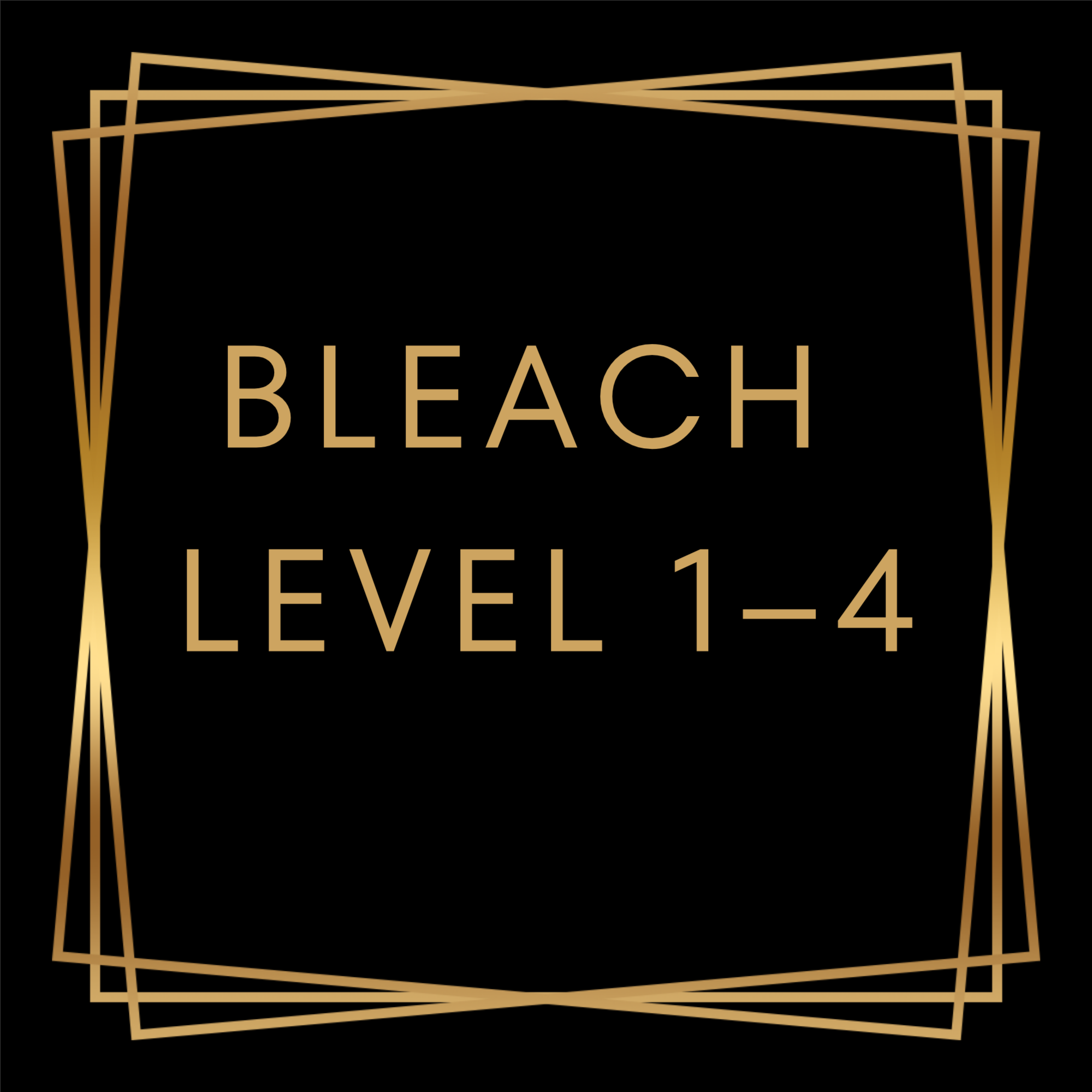 Bleach Level 1–4 at Hair By Sable Marie Studio in Saint Clair Shores, MI