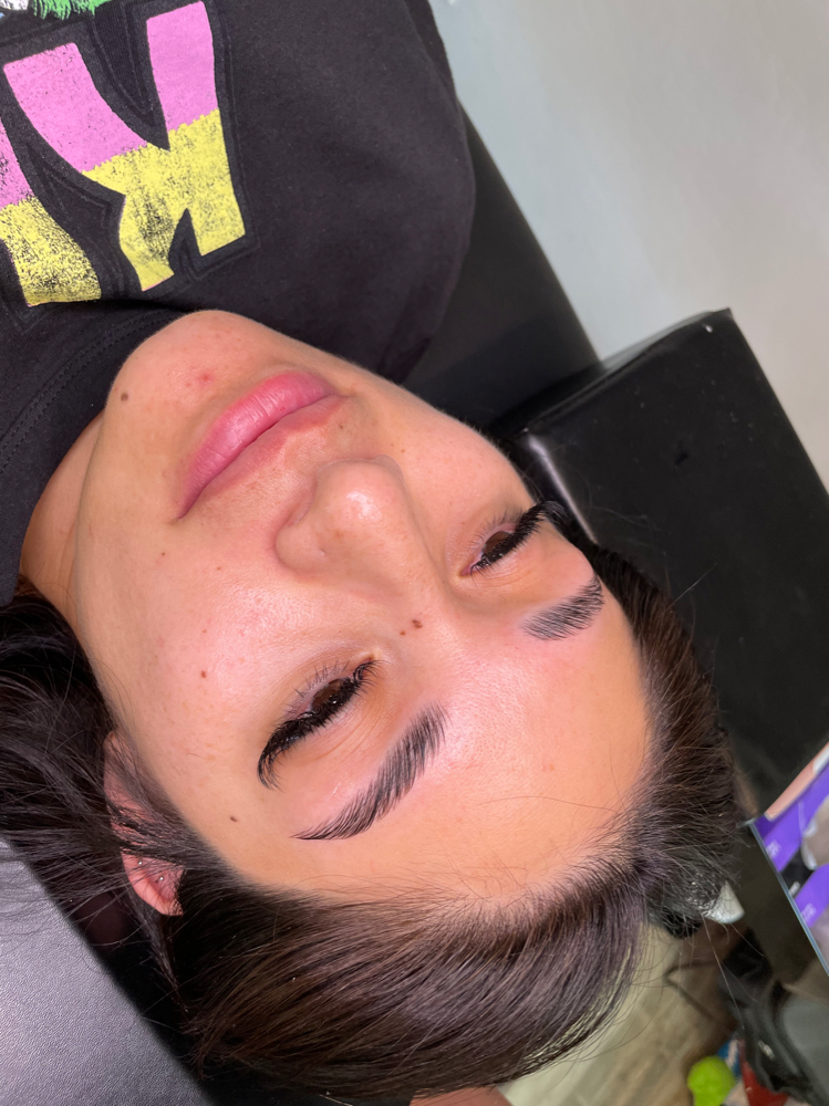 Stand Alone Brow Lamination