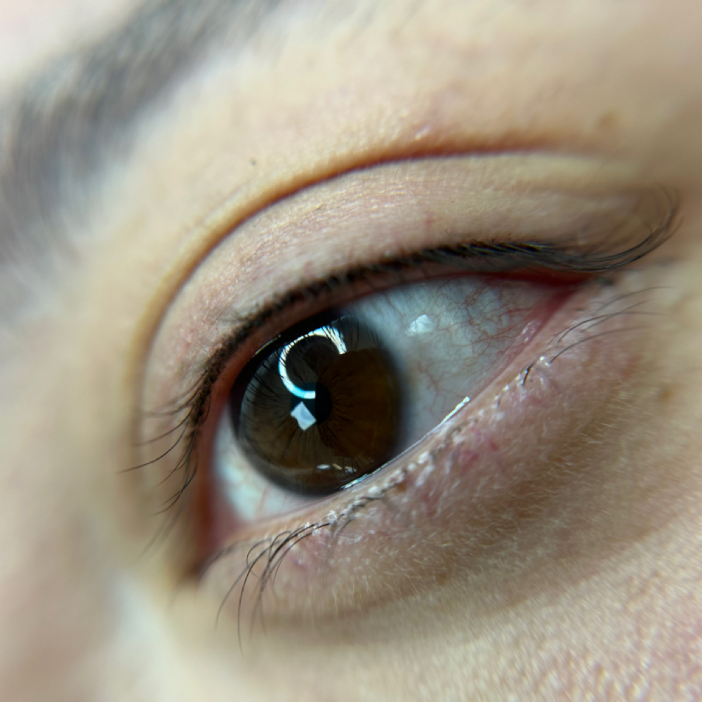 Lash Line Enchancement (Eyeliner) at Inkspiredbydes in Green Brook, NJ