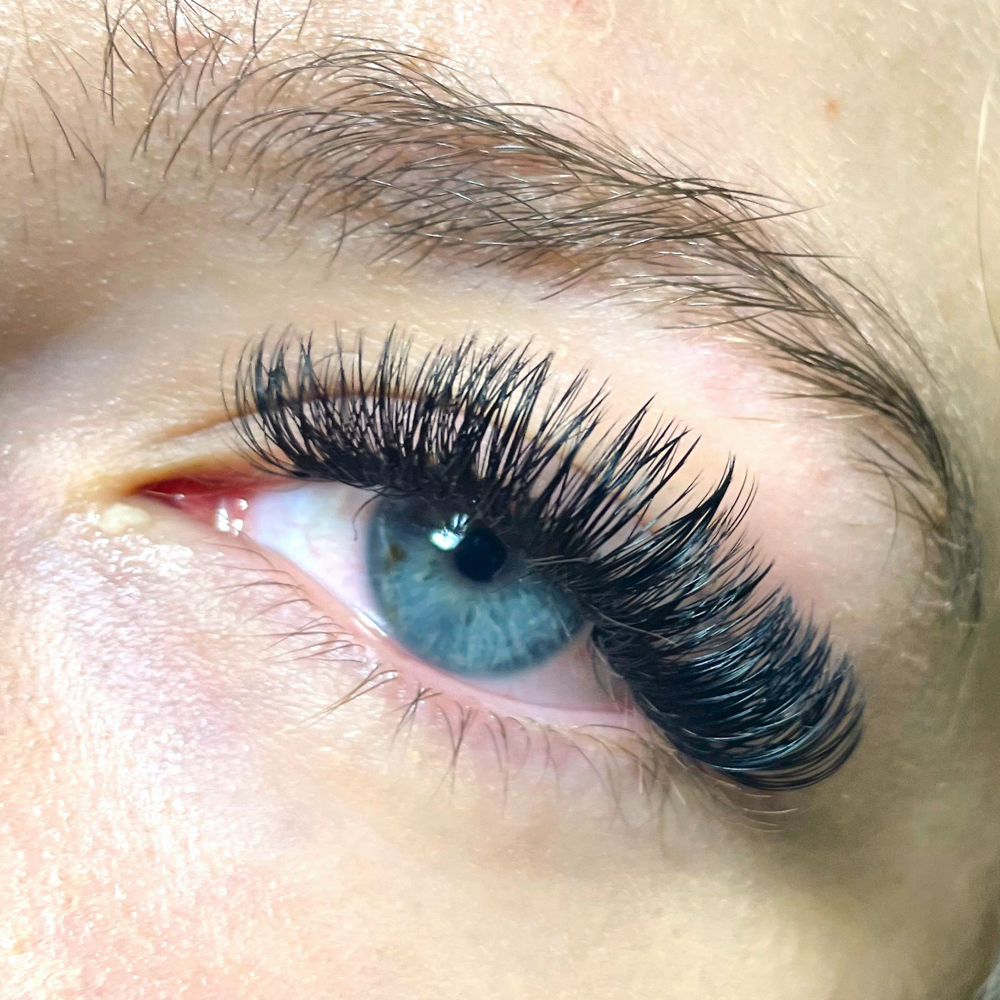 Volume Lash Fill (2 Weeks)