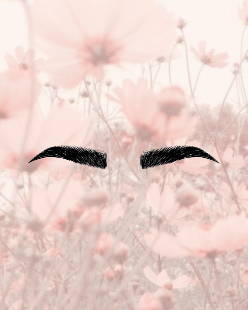 Brow Services