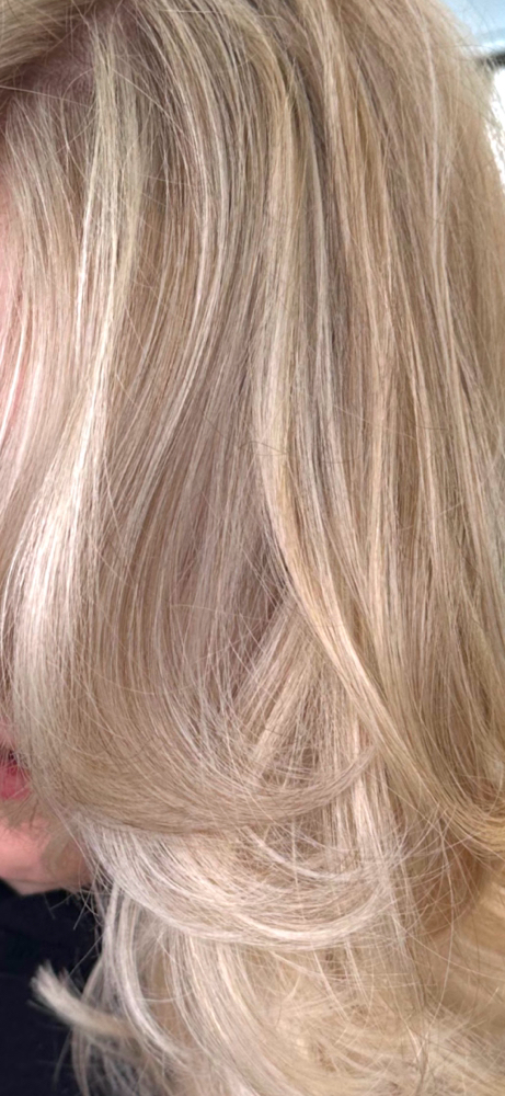 face frame highlight & haircut at BLOOM STUDIO in East Providence, RI