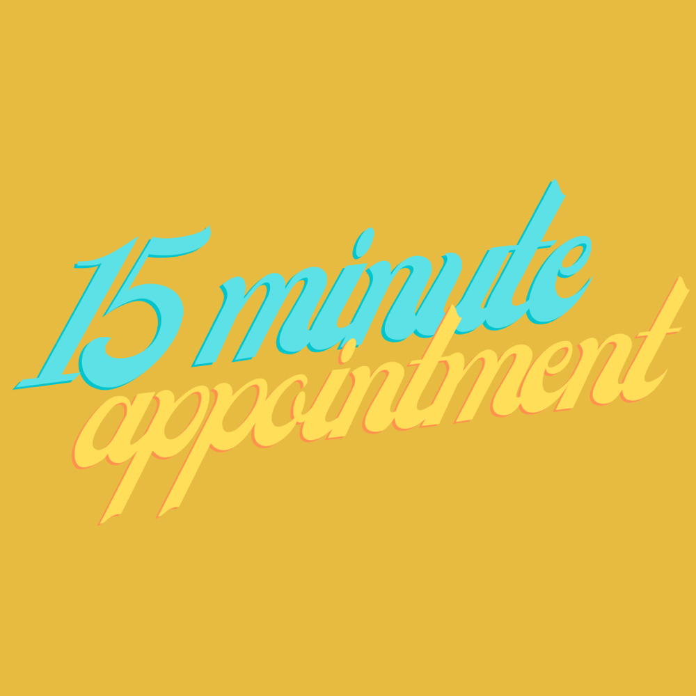 15 Minute Appointment