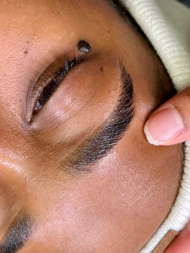 💜Brow Lamination, Wax + Tint