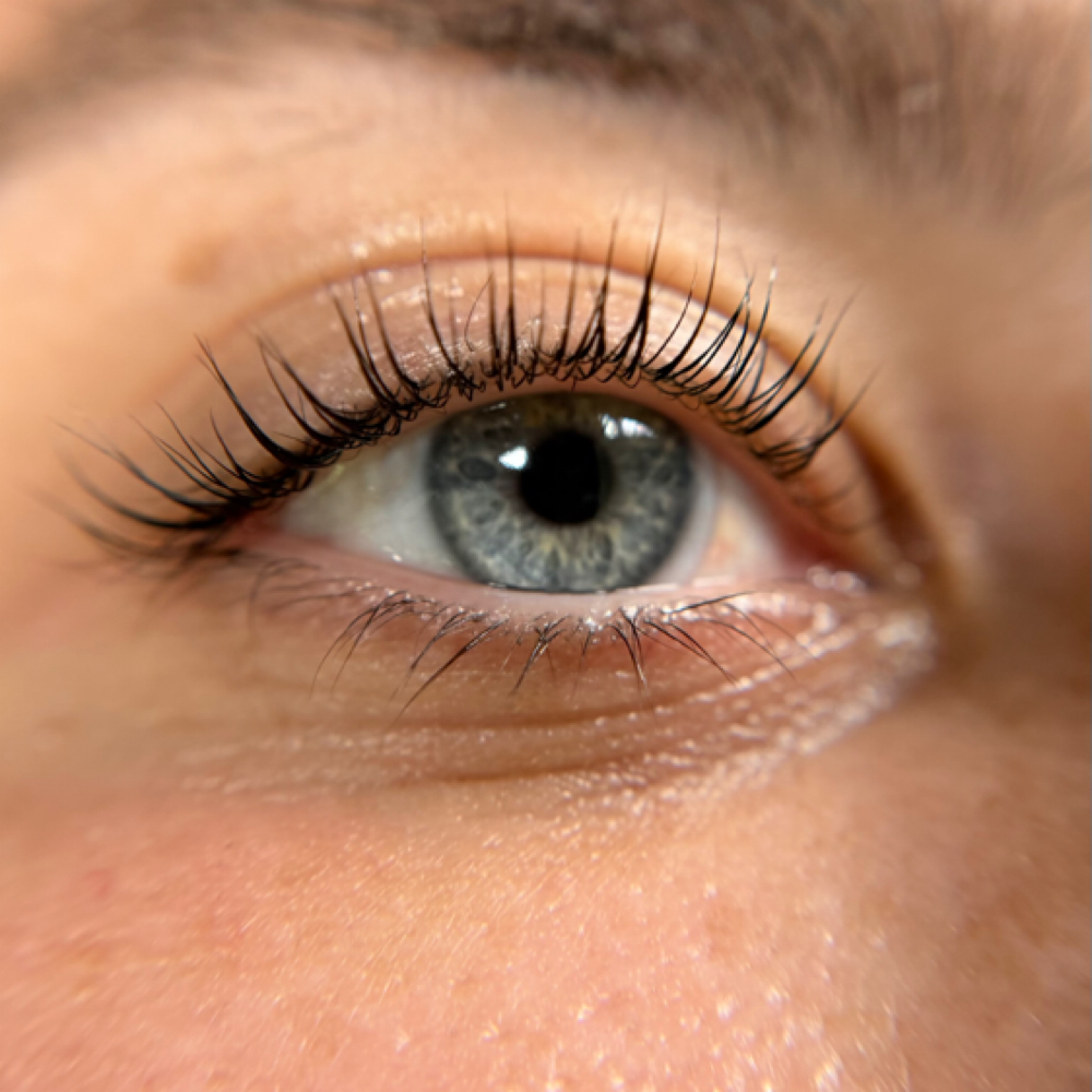 Lash Tint at FMBeauties in Farmington, CT