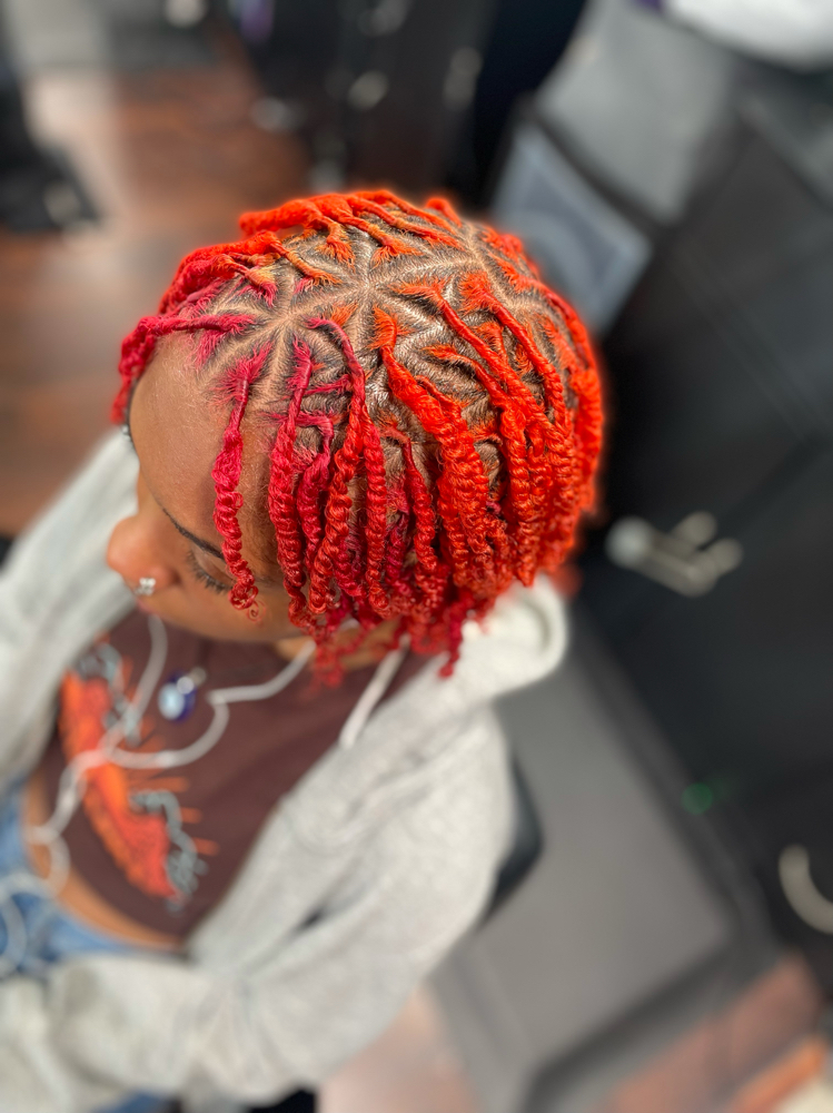 Two Strand Starter Locs