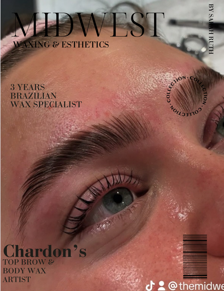 Lash & Brow Total Upgrade