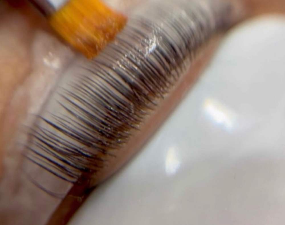 Lash Lift