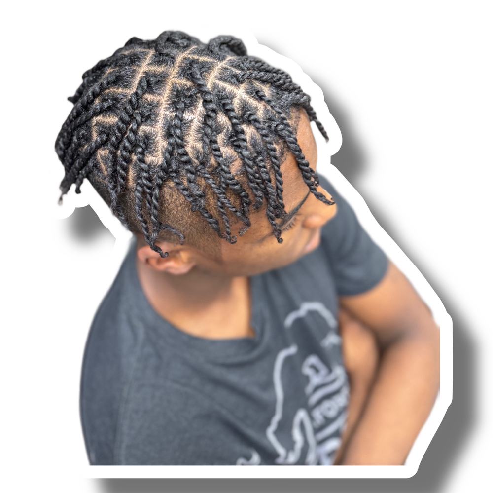 2 Strand/Box Braids*Top Only*