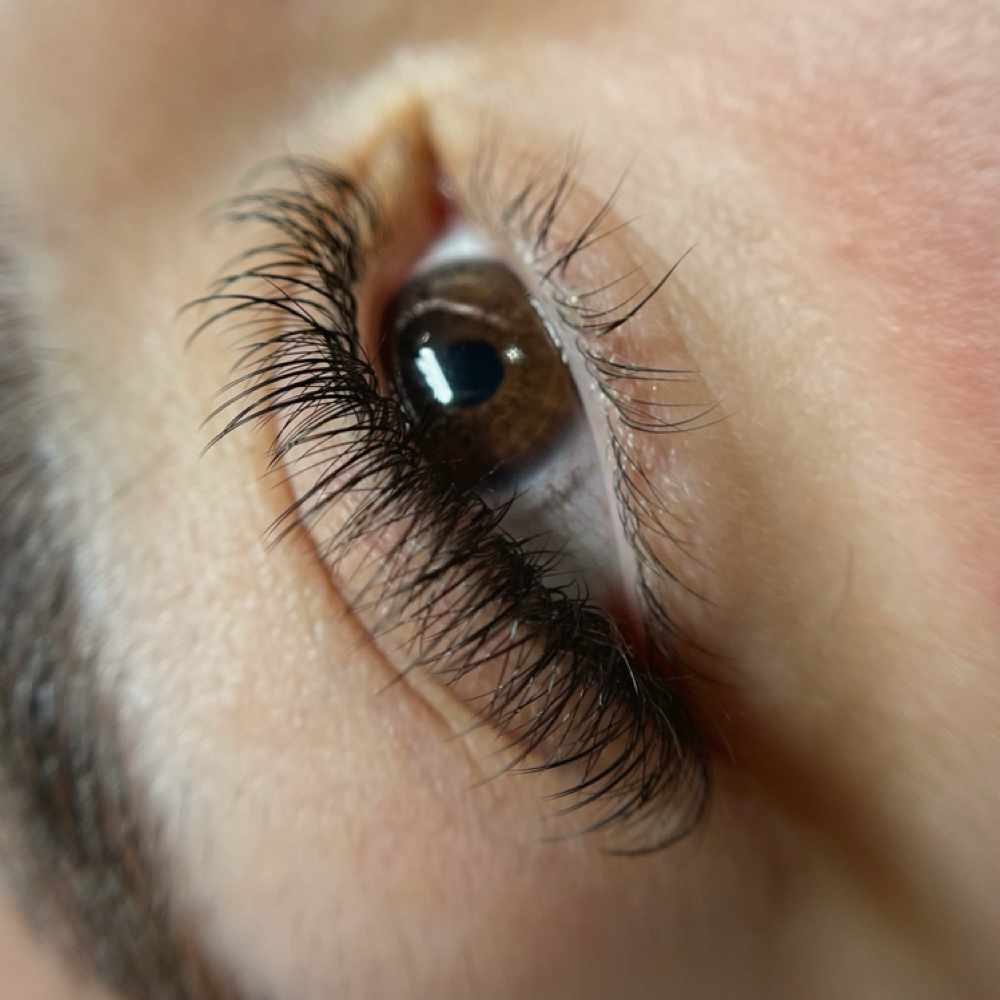 Soft Hybrid Lashes: Full at Barefaced Beauty Bar in Katy, TX