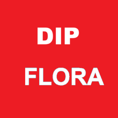 DIP W Color - Flora