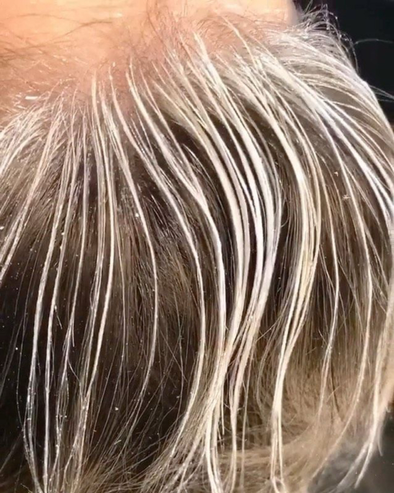The Hair Line at Saylor Grace in Maryville, TN