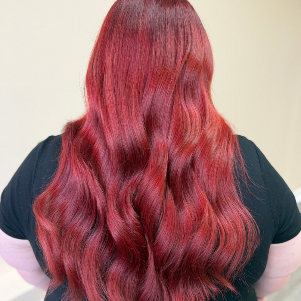 All Over Color at L S STUDIO in Livonia, MI