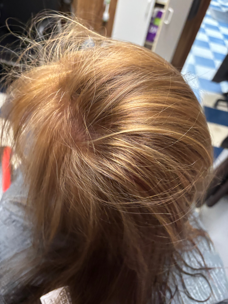 Partial Hilights/Half Head at Elevate and Create in Cheraw, SC