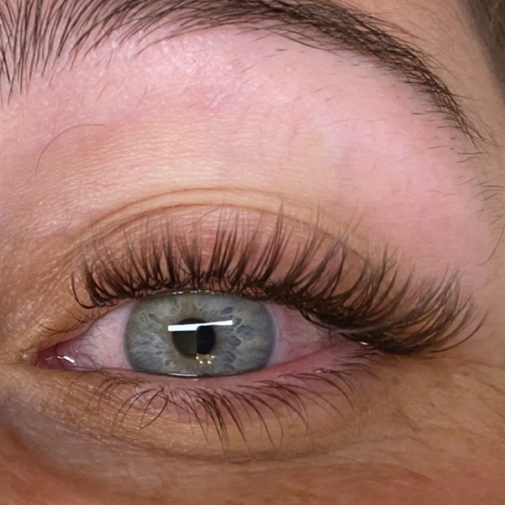 Angel Lash 2-3 Week Refill at The Lash Studio, LLC in North Branford, CT