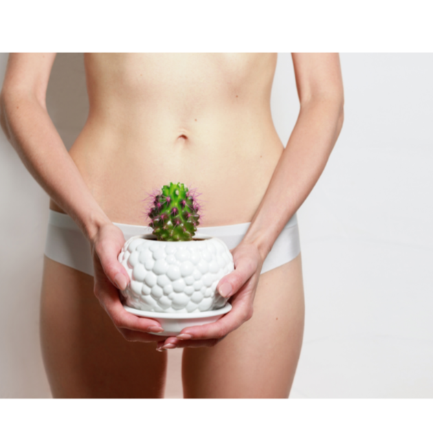Bikini Wax at LMK ESTHETICS SKINCARE SPA in Lake Ozark, MO
