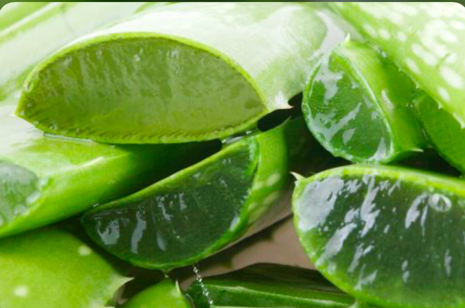 Aloe Vera Scalp Massage Add On