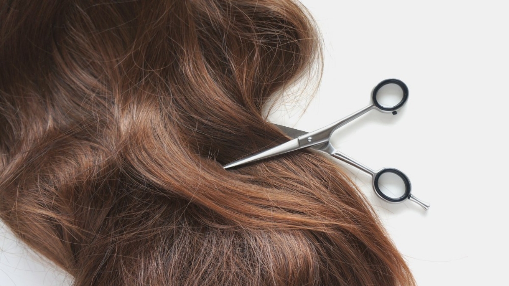 Women's Haircut