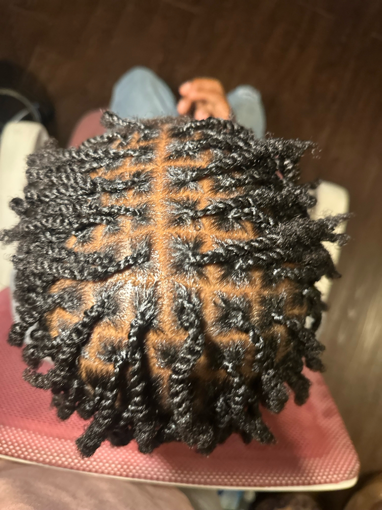 Two Strand Twist (Men)
