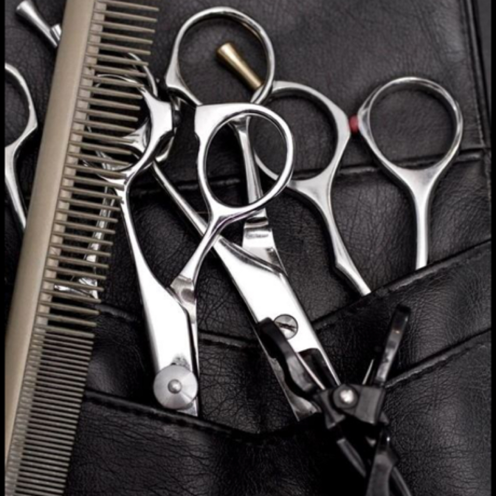 Kids Cut at Blossom & Mane in Crown Point, IN