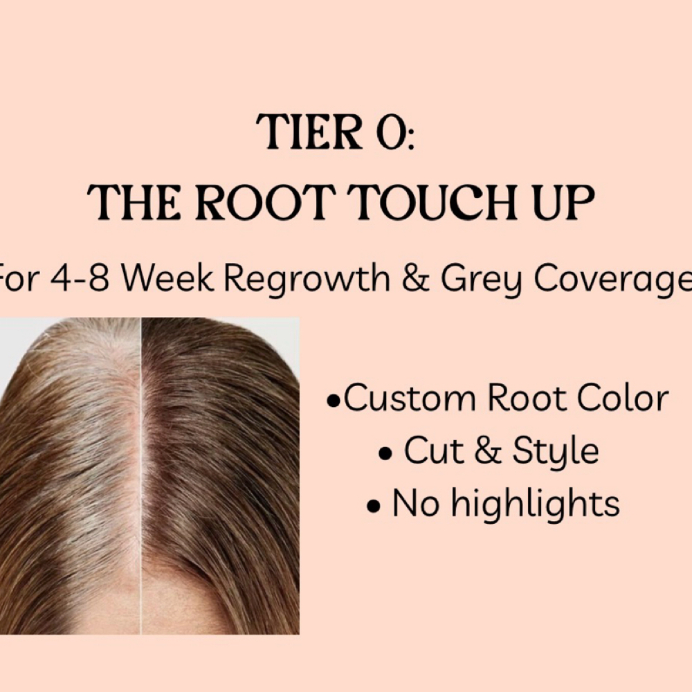 THE ROOT TOUCH UP at Pin And Tonic Salon in Fort Mill, SC