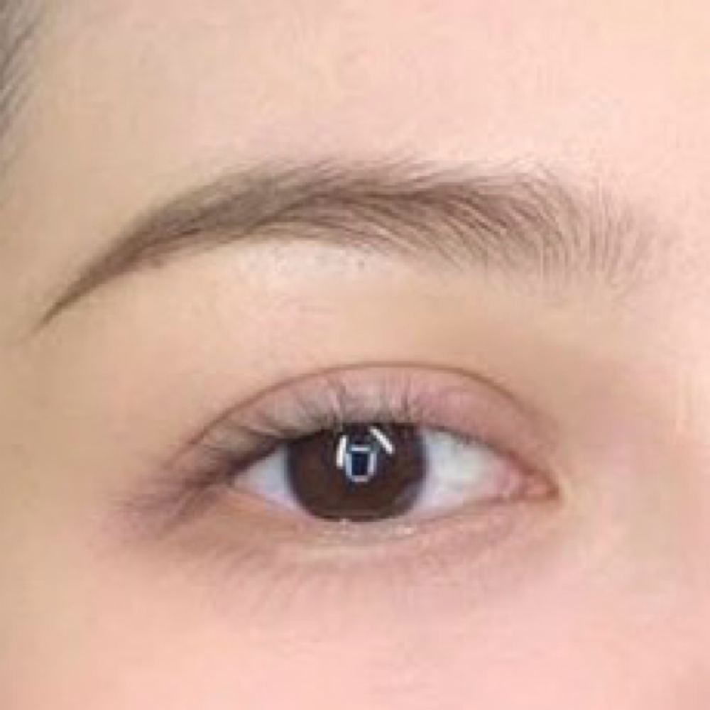Eyebrows Microblading/ Microshading at ProNails Lashes & Brows Studio in Woodburn, OR