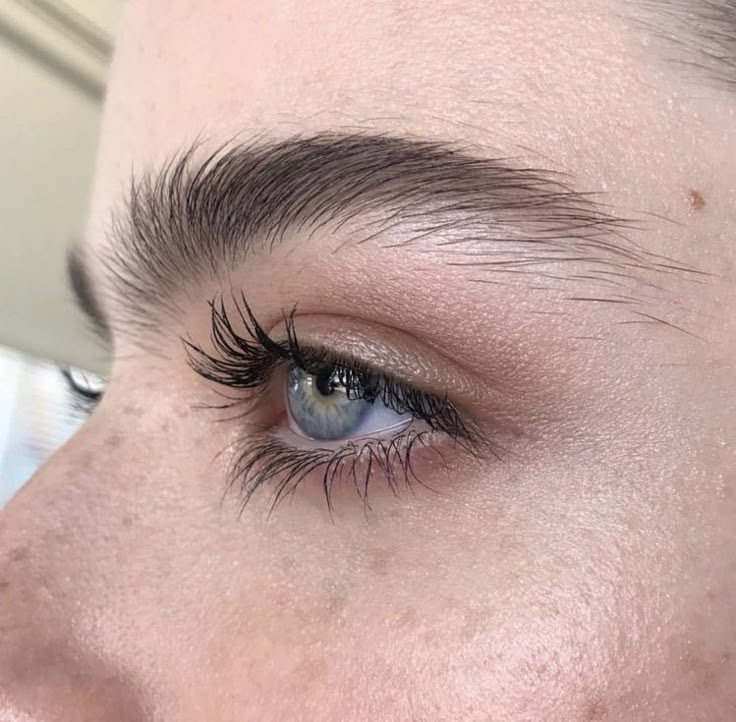 Brow Shaping
