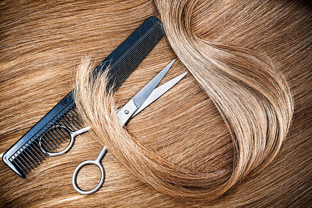 Color and Haircut at Jennifer Ann Salon in Saint Cloud, MN
