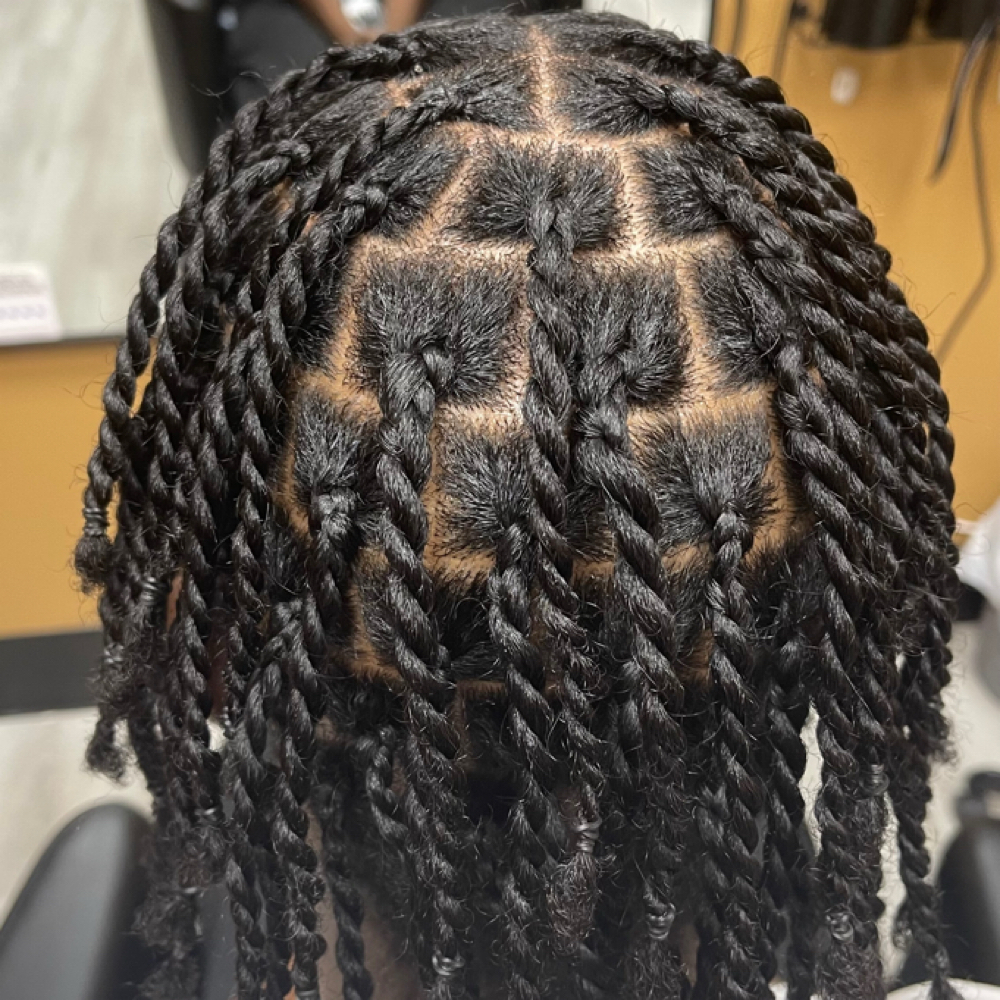 Full Head Two Strand Twist at The Starr Touch in Nanuet, NY