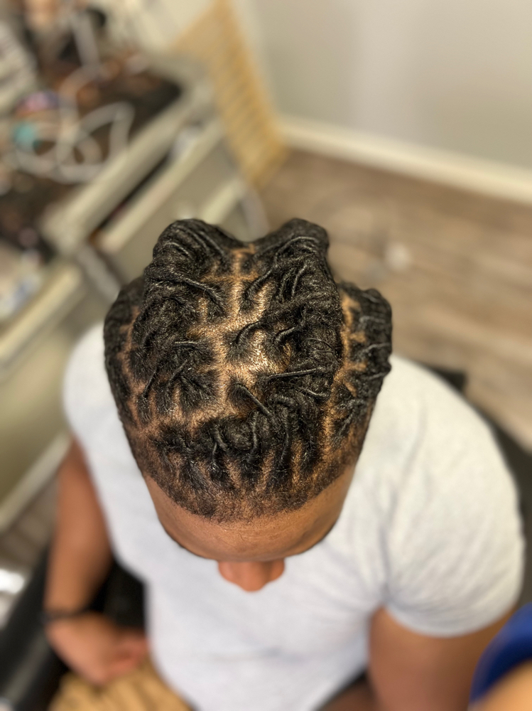 Loc Retwist/Style Barrel Roll