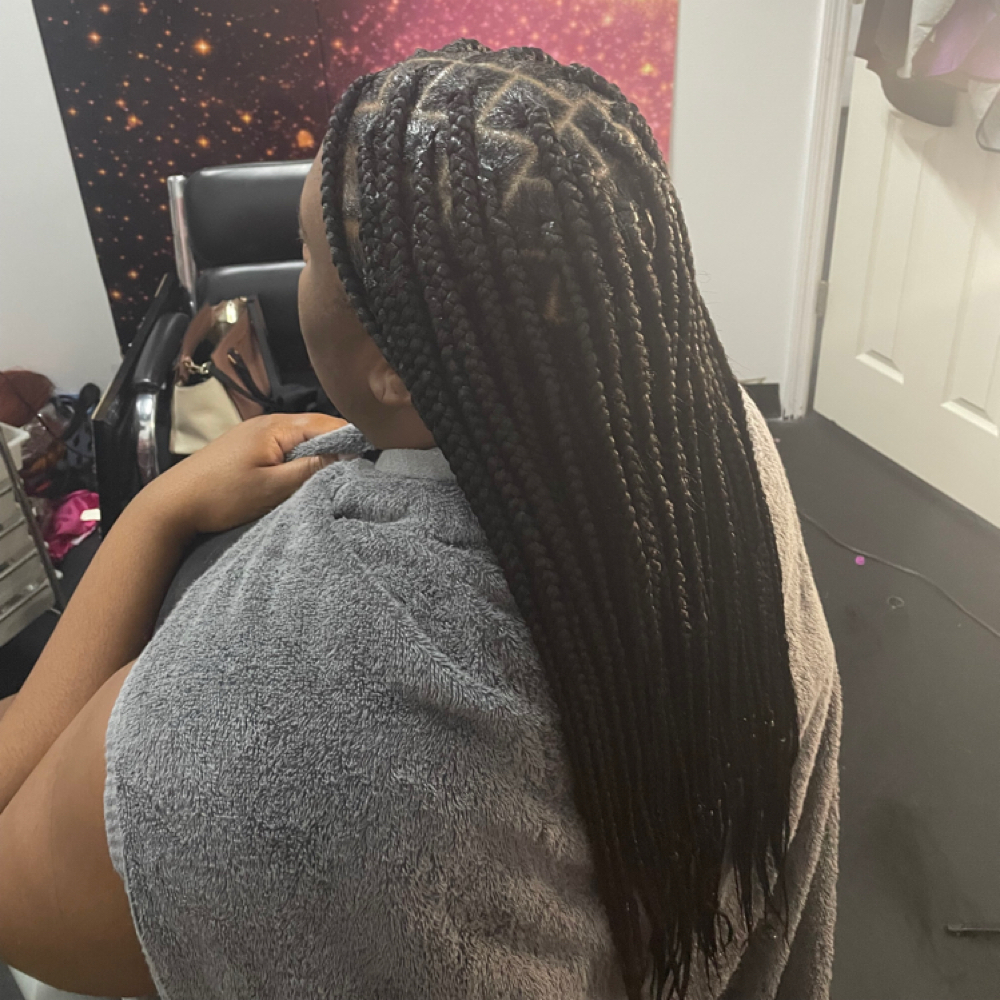Medium Knotless Plaits at Mylavely Edges in Tampa, FL