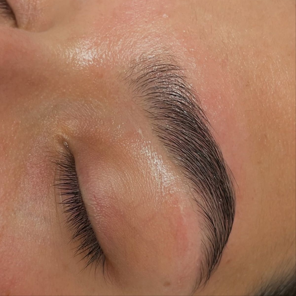 BROW PERFECTION - WAX & SHAPE at K. Marrouche Beauty Studio in Fort Myers, FL