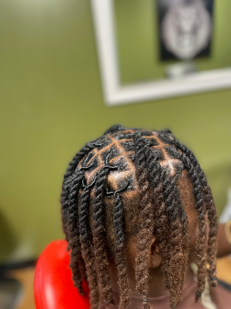 Retwist / Half Head