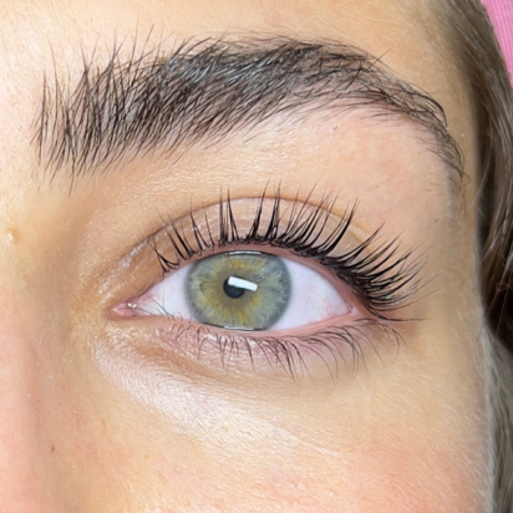 Korean Lash Lift & Tint at Emerald Ink + Esthetics Co. 💚🦇 in Brooksville, FL