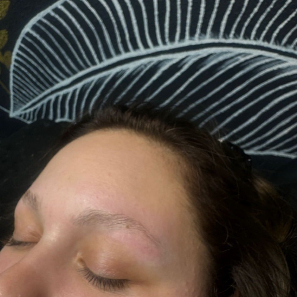 Brow Lamination & Wax at The Beauty Room • Rylee Taylor in Dexter, MO