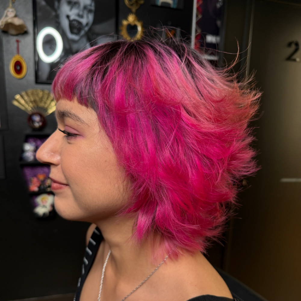 Haircut With A Wash & Blow Dry at Cam_dyed in San Antonio, TX