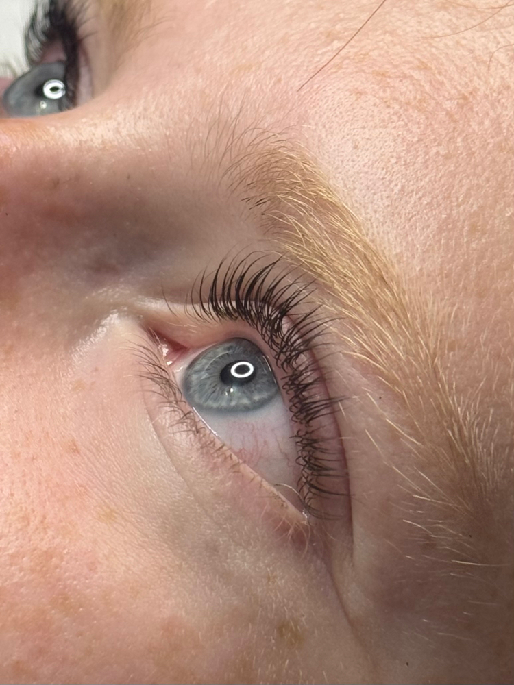 Lash Lift With Tint