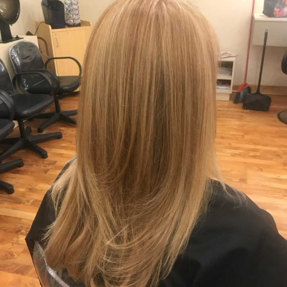 Shampoo, Cut, Blowout Long Length