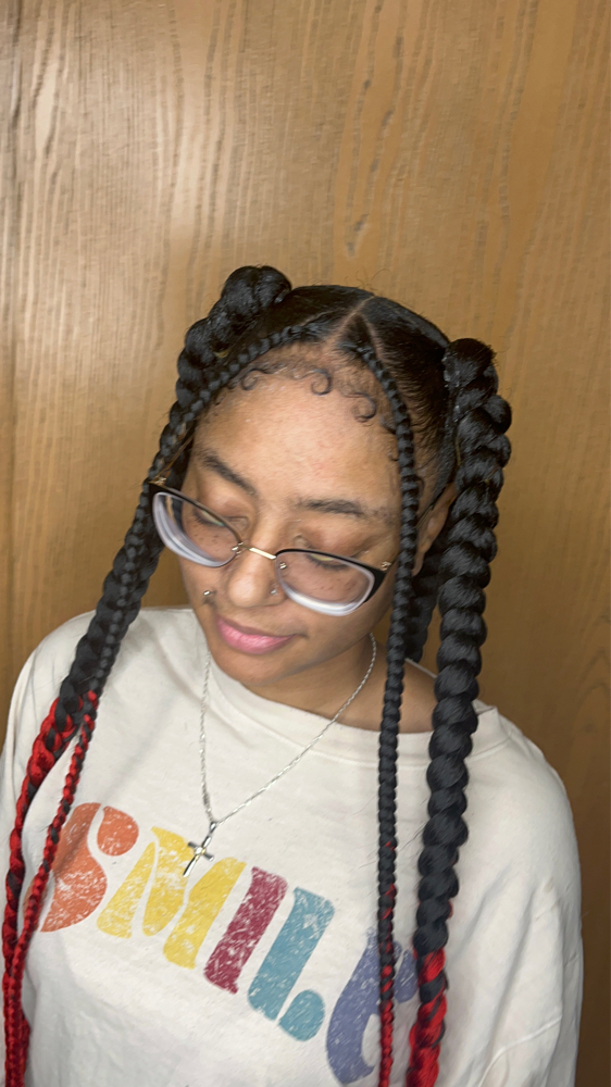 Ponytail Styles at BraidsByChardonnay in Milwaukee, WI