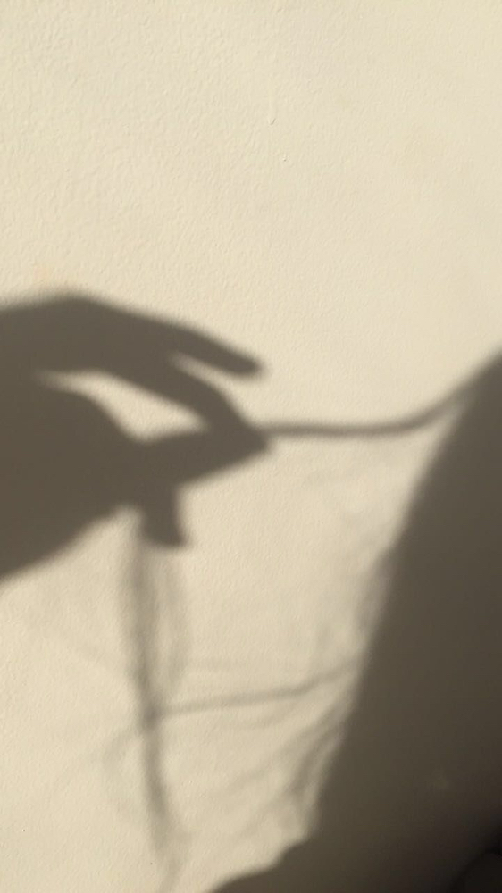 Hair Cut - Thick/Long