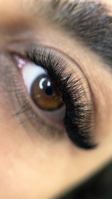 Volume Lash Extensions